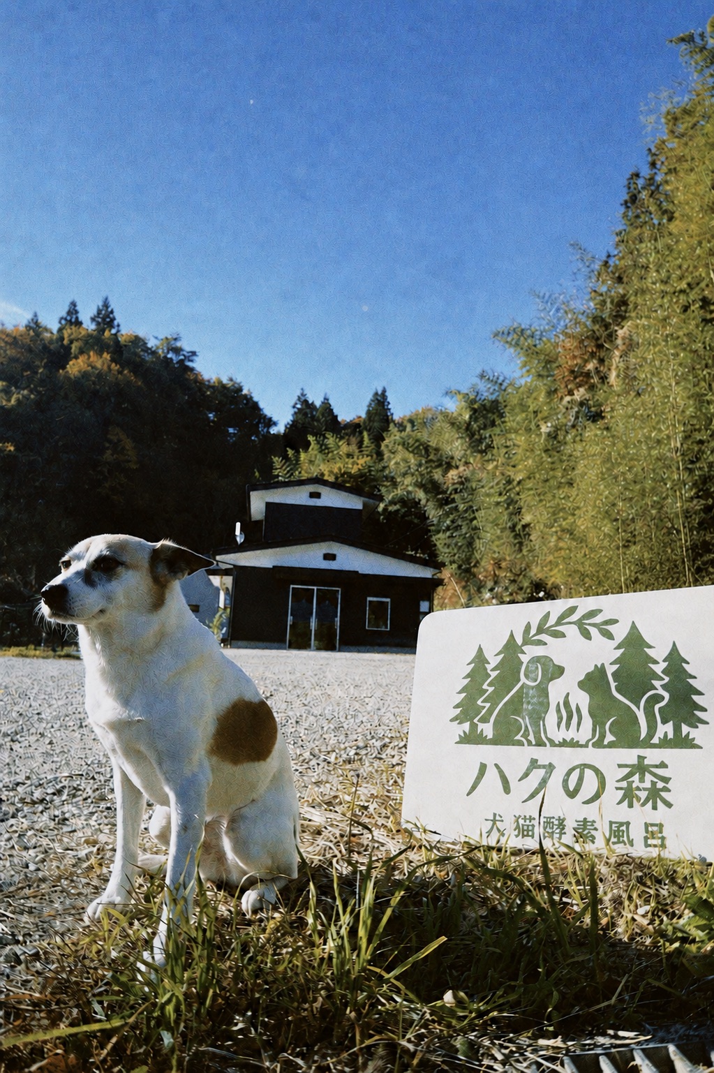 山あいに立つハクの森の看板と、その横に座る犬