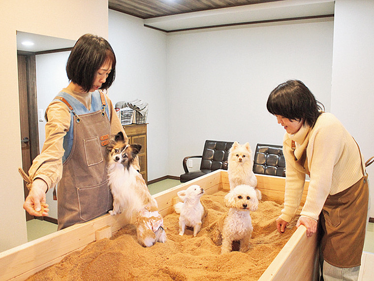 酵素風呂の浴槽のそばで、2人のスタッフが4頭の小型犬に付き添っている様子
